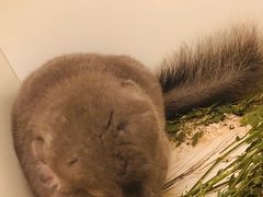 -龙猫仔乐园(惠福东路店)