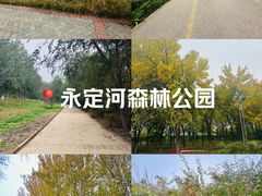 -永定河休闲森林公园