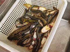 -谭记石锅鱼府(三道堰店)