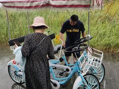 -盐城丹顶鹤湿地生态旅游区