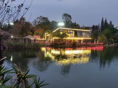 -成飞公园
