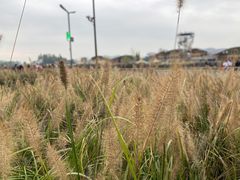 -中国天府农业博览园