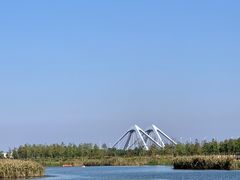 -春花秋色城市公园