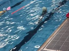 -硅谷蒙学幼儿园