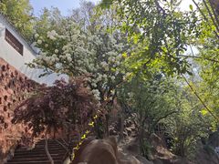 -东坡赤壁风景名胜区