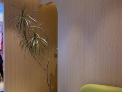 -耳道精致采耳(运达汇店)