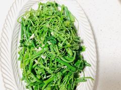 -金贝儿月嫂(高新尚品国际店)