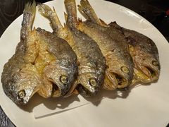 -甄御•海鲜新青岛菜(麦岛店)