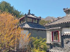 -老张烤羊(王哥庄店)