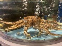 -花开富贵平潭海鲜楼(平潭店)