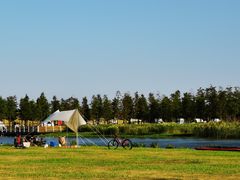 -春花秋色城市公园