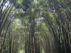 -凤栖山