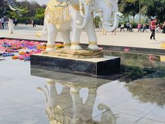 -西双版纳勐泐文化旅游区