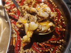 -销魂美蛙鱼头火锅(上海首店)