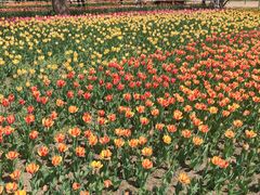 -长春公园(普阳街道)