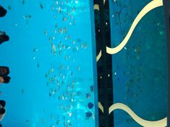 -瑞德姆美人鱼海底演艺主题餐厅(亚龙湾店)