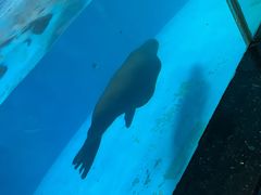 -泉城欧乐堡海洋极地世界