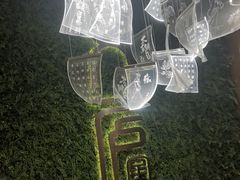 -新紫霞养生·影院足道·SPA(金山区店)