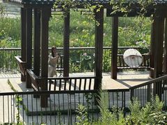 -护国法轮寺