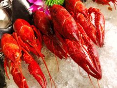 冰镇小龙虾-龙虾风暴(松江店)