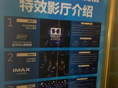 -万达影城(汉街万达广场IMAX店)