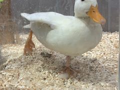 -狗道宠物(常熟印象城店)