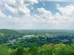 -上海佘山国家森林公园西佘山园