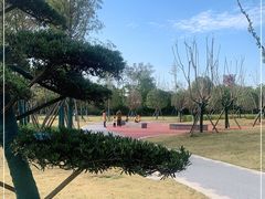 -洋湖国家湿地公园