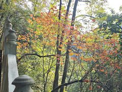 -塔云山