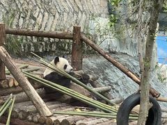 -泉州海丝野生动物世界