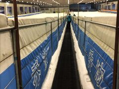 -绍兴启迪乔波冰雪世界