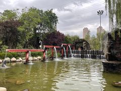 -水车博览园