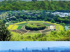 -八卦田遗址公园