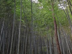 -敬亭山风景名胜区