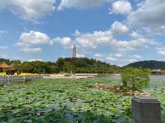 -顺峰山公园