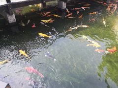 景观位-猪肉婆私房菜(容桂总店)
