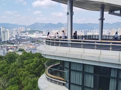 -金鸡山公园