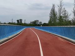 -白鹭湾湿地公园