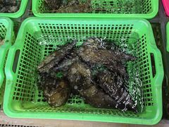 -众味海鲜大排档·活海鲜·潮汕味(南澳店)
