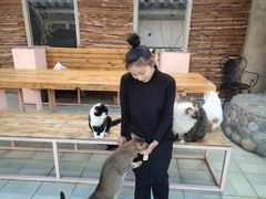 -喵屿·大理花园猫咖