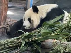 -秦皇岛野生动物园