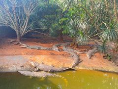 -海南热带野生动植物园