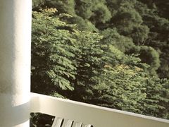 -深圳仙湖植物园
