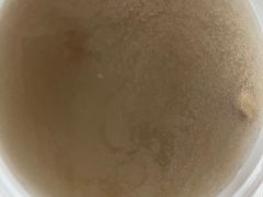 -安记烧鹅(新桥店)