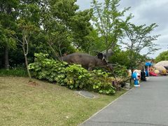 -自然谷恐龙园