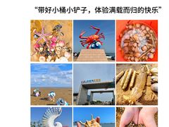 -巧克力渔家.小船海鲜胶东菜(万平口店)