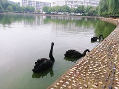 -南京财经大学(仙林校区)