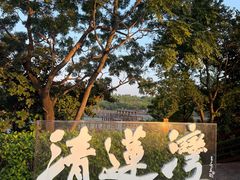 -大湾区中央湿地公园