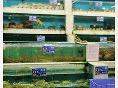 水产区-旺富东海大酒楼(海鲜街店)