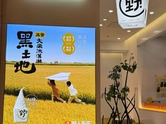 -野人先生现做冰淇淋(北京环宇荟店)